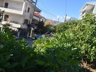 ΑΠΟΨΗ ΟΙΚΟΠΕΔΟΥ