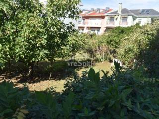 ΑΠΟΨΗ ΟΙΚΟΠΕΔΟΥ