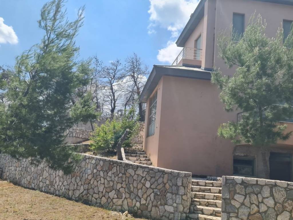 Εξωτερικοι χώροι