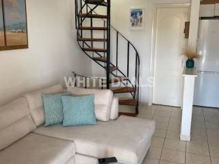 Σαλοκουζίνα