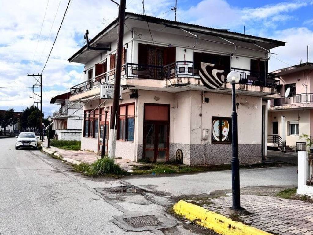 πλαϊνή πλευρά