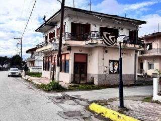 πλαϊνή πλευρά