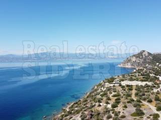 ΘΕΑ ΘΑΛΑΣΣΑ