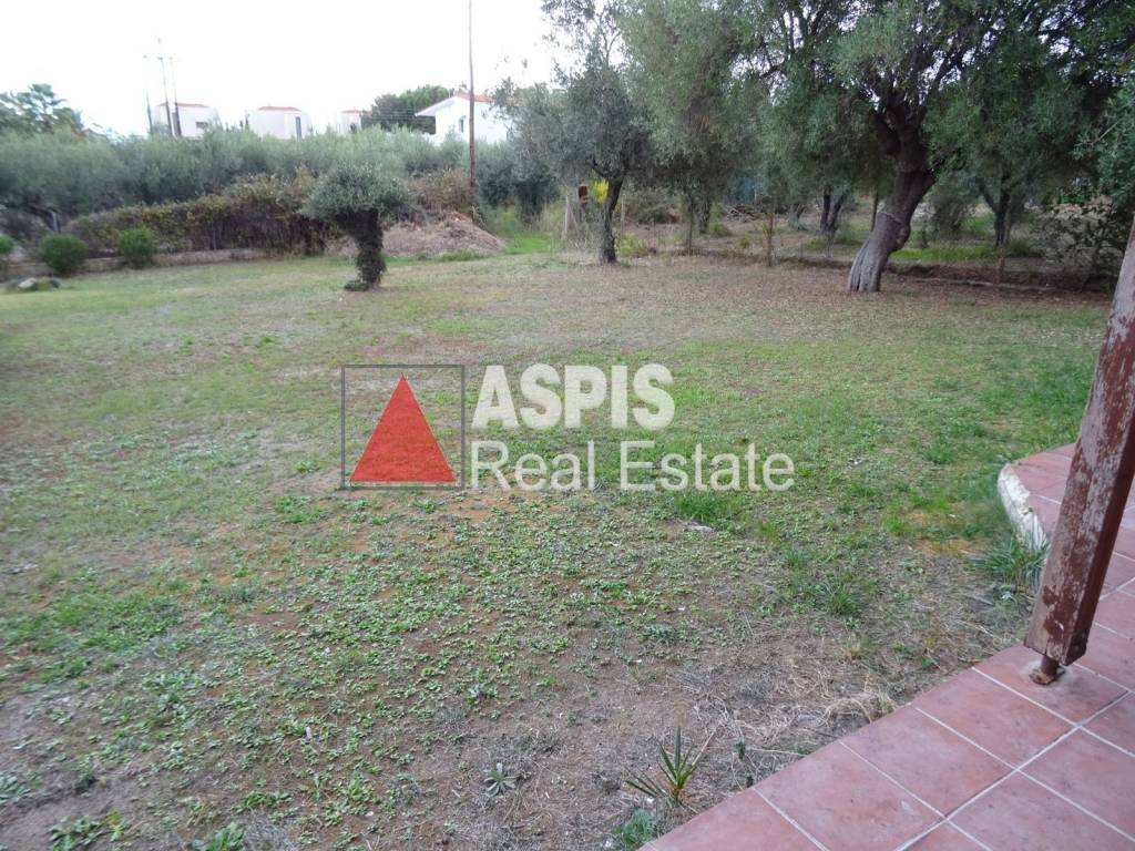 Εξωτερικοι χώροι