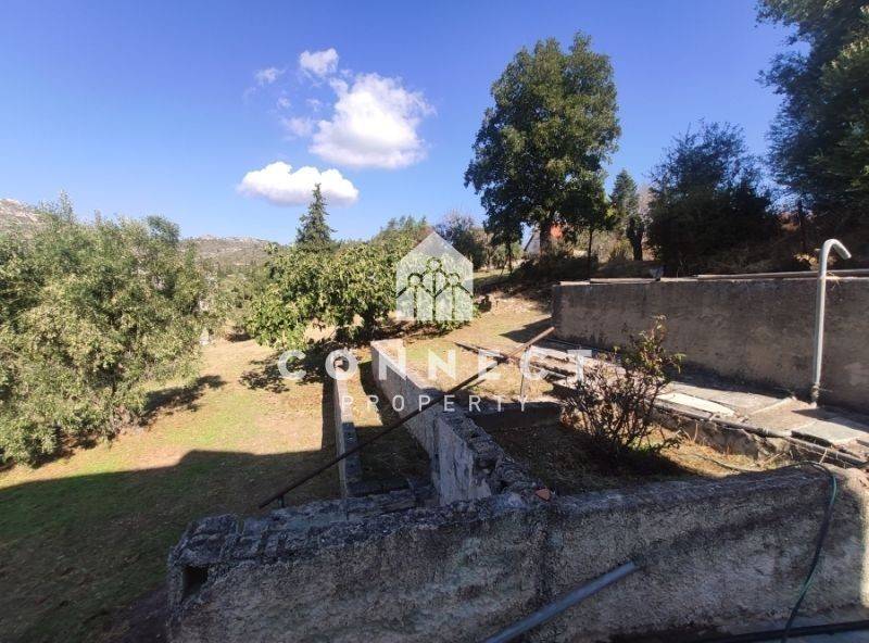 Ύπαρξη ανθρώπου