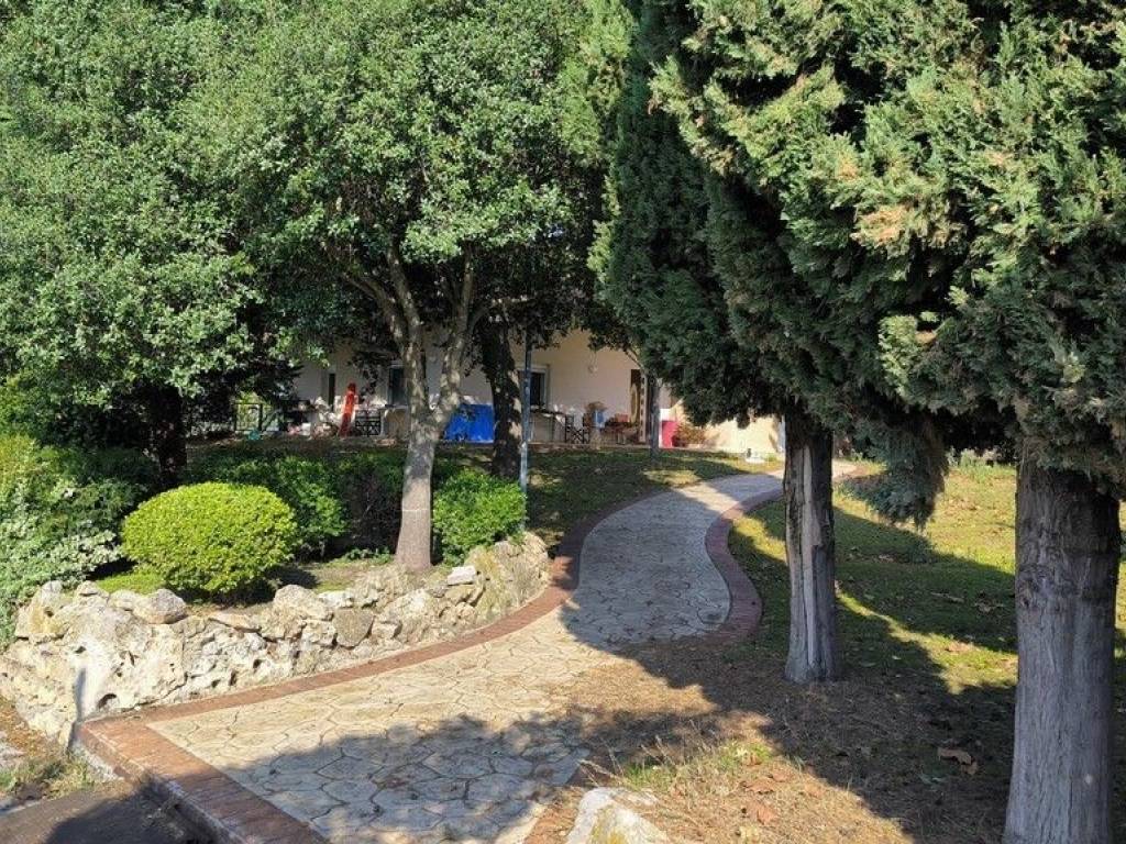 Detached - Grekodom 64463|1018052