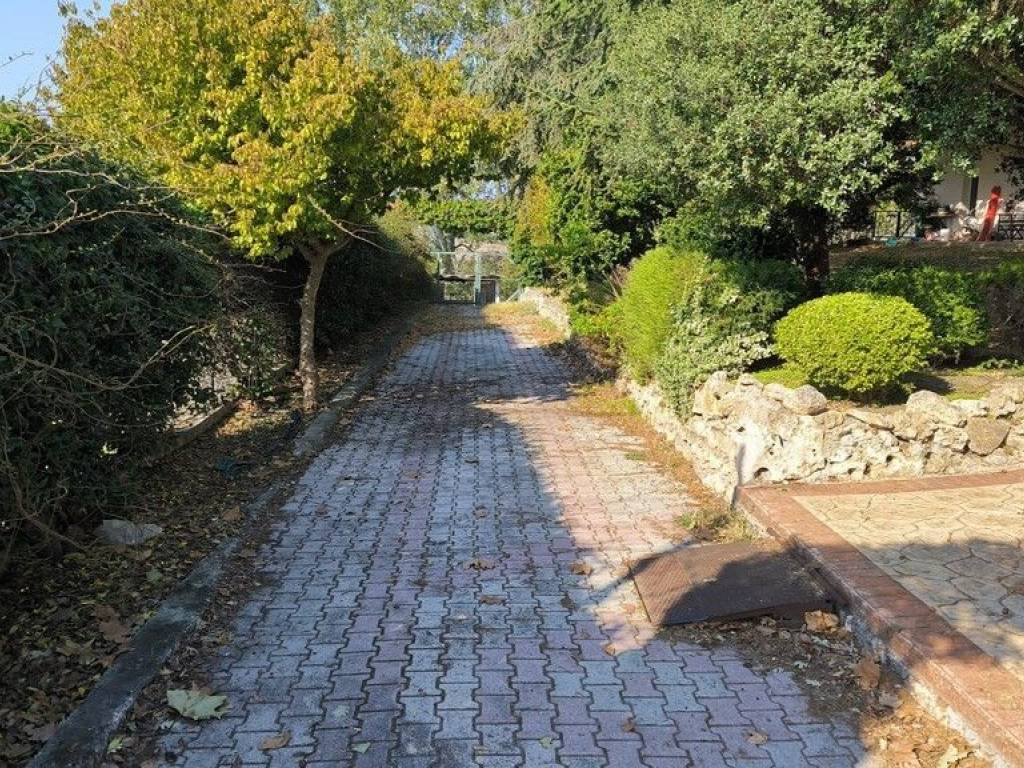 Detached - Grekodom 64463|1018051