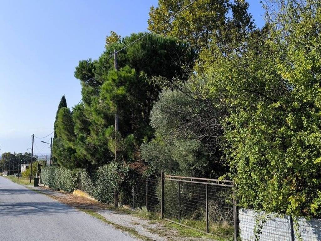 Detached - Grekodom 64463|1018046