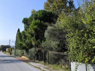 Detached - Grekodom 64463|1018046