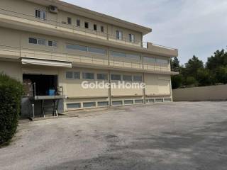 Ανελκυστήρας