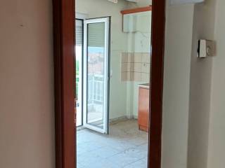 KOYZINA ME TEN MPALKONOPORTA