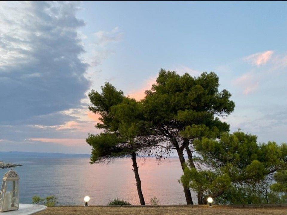 Apartment - Grekodom 64106|1009767