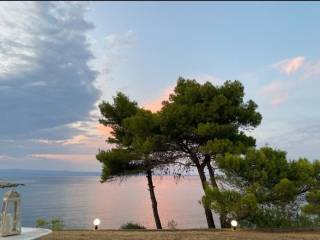 Apartment - Grekodom 64106|1009767