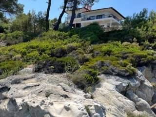 Apartment - Grekodom 64106|1009772