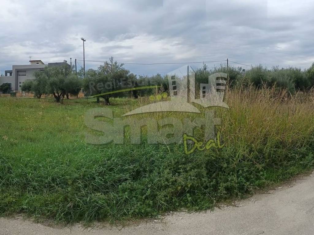 Εξωτερικοι χώροι