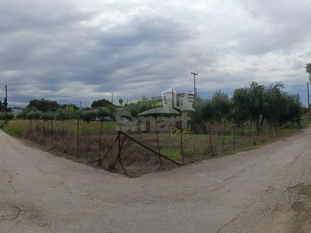 Εξωτερικοι χώροι