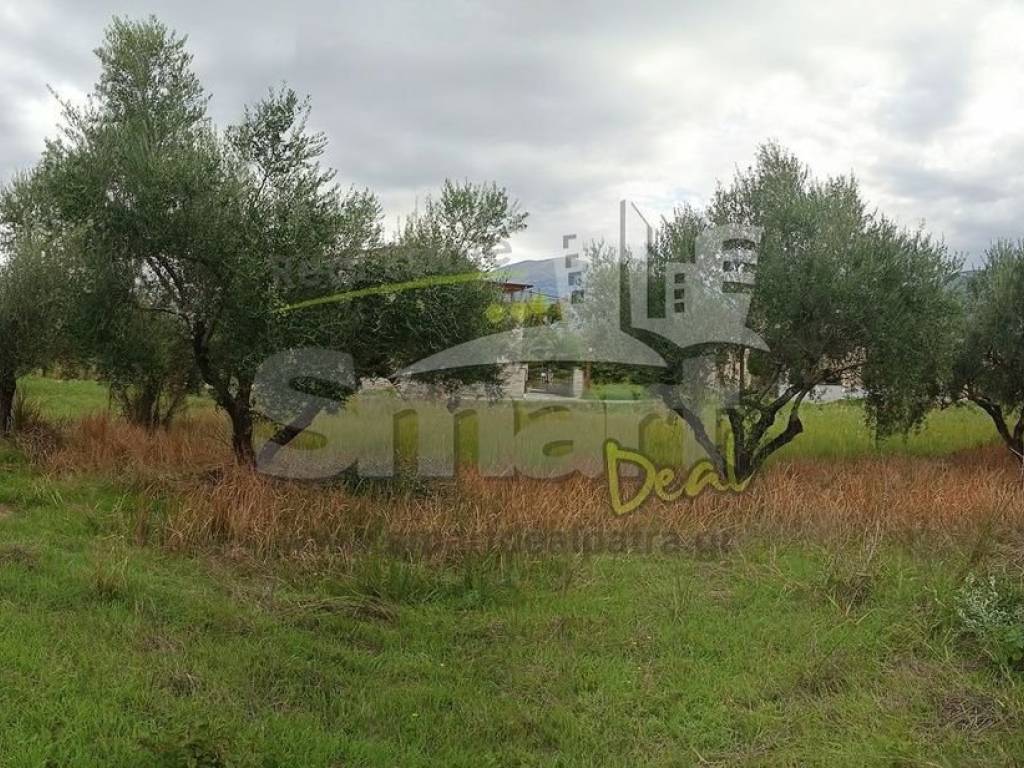 Εξωτερικοι χώροι