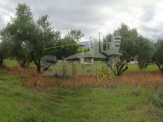 Εξωτερικοι χώροι