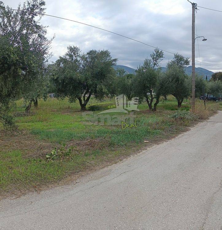 Εξωτερικοι χώροι