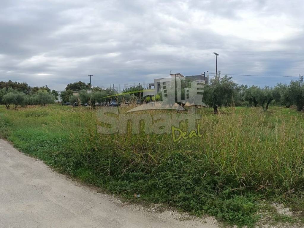 Εξωτερικοι χώροι