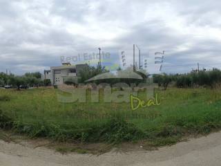 Εξωτερικοι χώροι