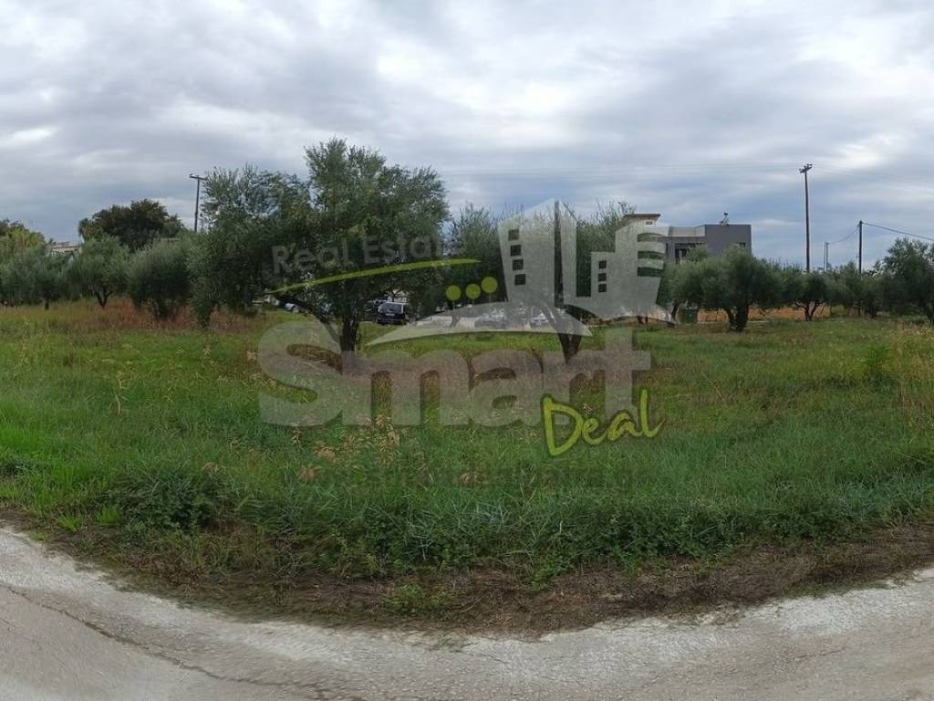 Εξωτερικοι χώροι