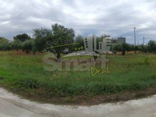 Εξωτερικοι χώροι