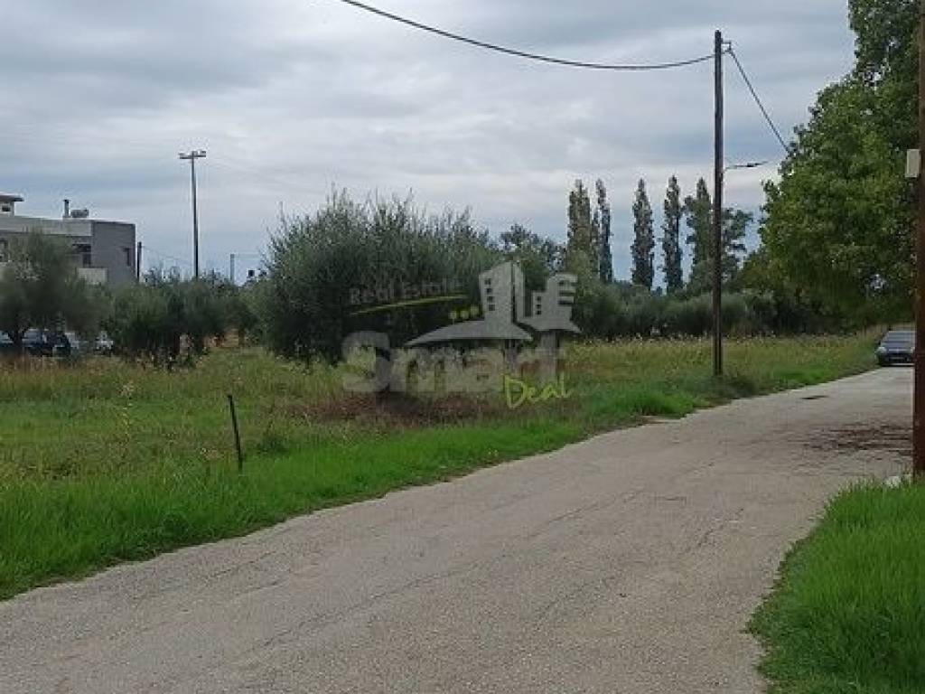 Εξωτερικοι χώροι