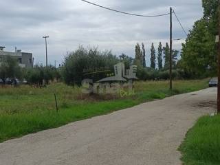 Εξωτερικοι χώροι