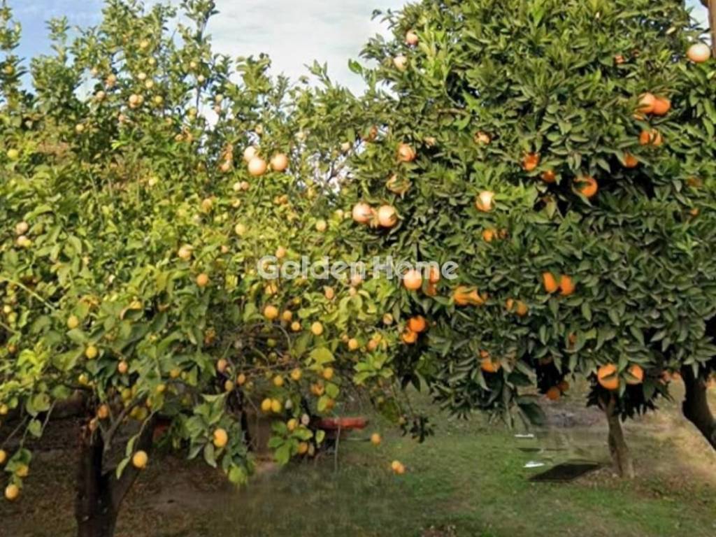 Εξωτερικός Χώρος