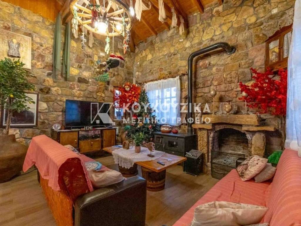 Σαλοκουζίνα