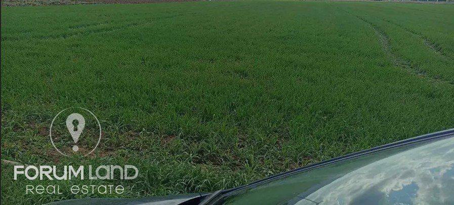 Forumland Real Estate, Αγροτεμάχιο 2.500τ.μ.