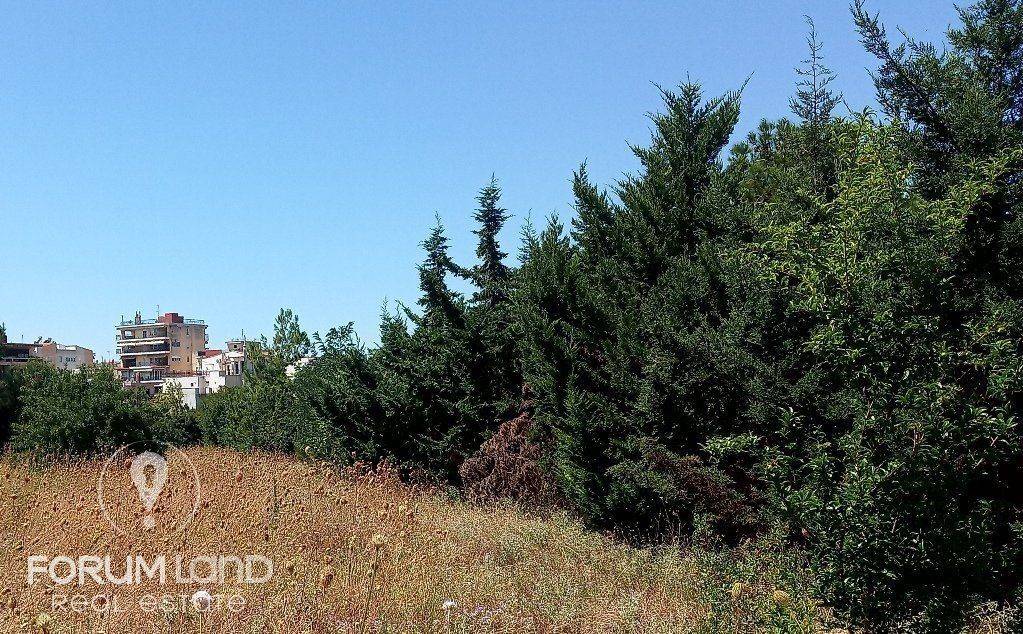 Forumland Real Estate, Αγροτεμάχιο 2.500τ.μ.