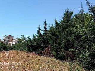 Forumland Real Estate, Αγροτεμάχιο 2.500τ.μ.