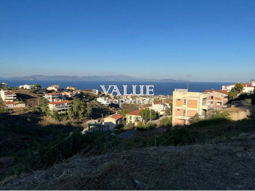 Εξωτερικοι χώροι