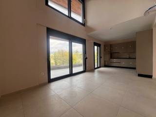 Καθιστικό και κουζίνα.