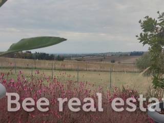 Άποψη εξωτερικού χώρου