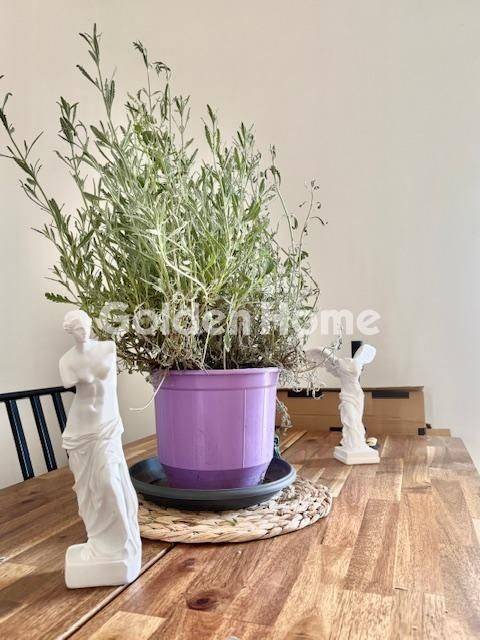 Τραπεζαρία