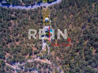 Ύπαρξη ανθρώπου