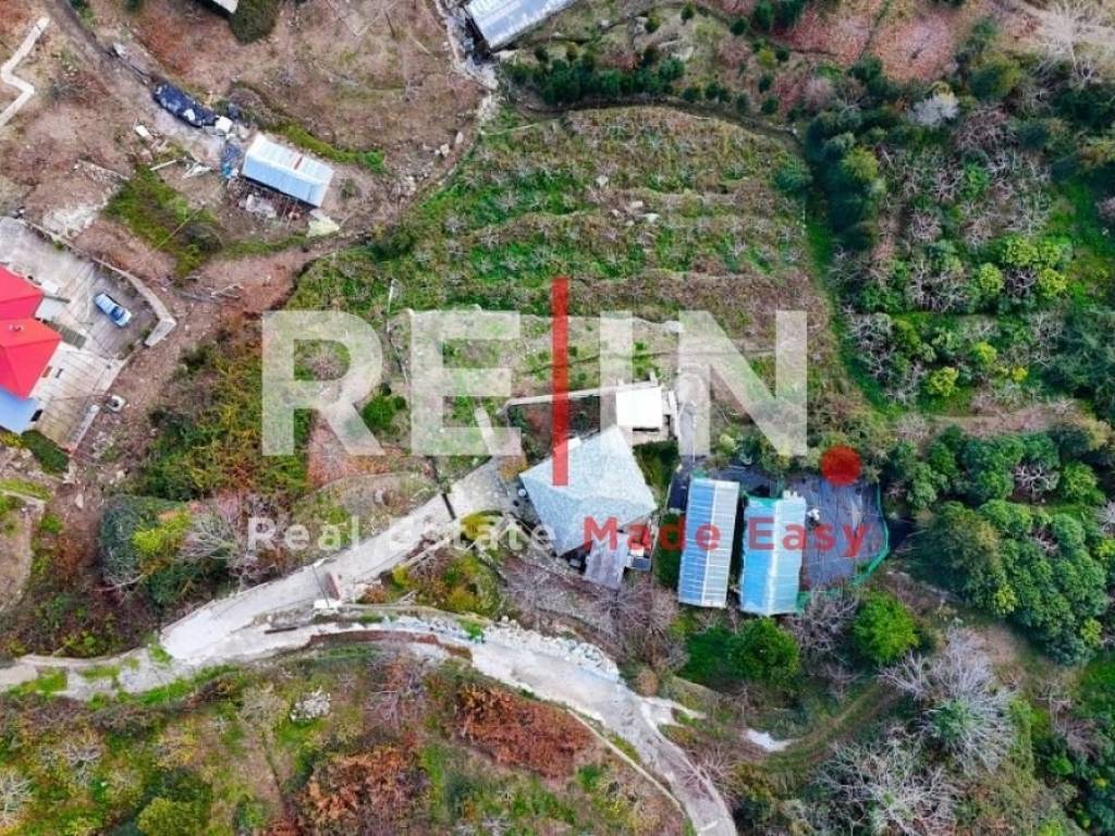 Ύπαρξη ανθρώπου