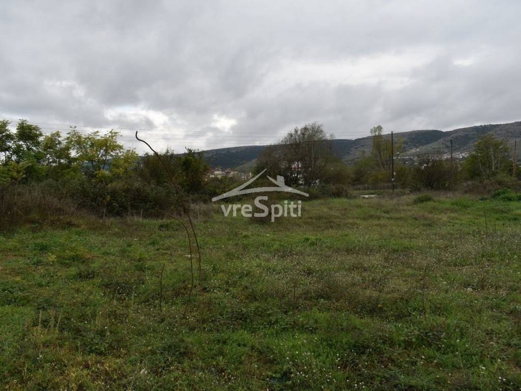 ΑΠΟΨΗ ΟΙΚΟΠΕΔΟΥ