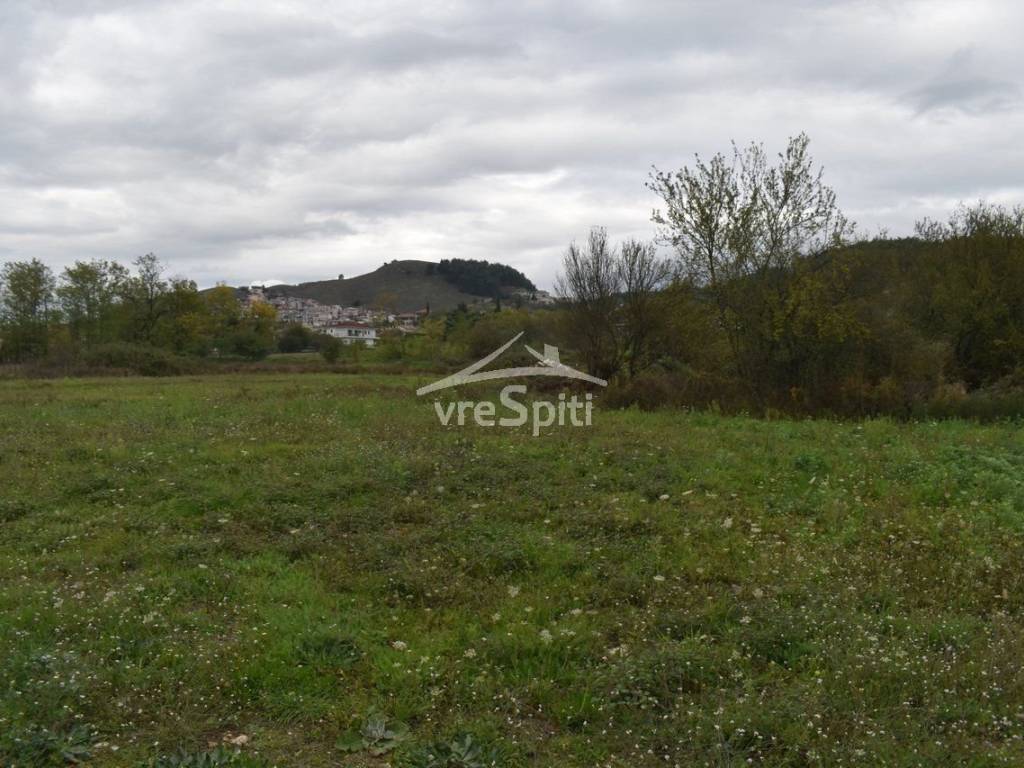 ΑΠΟΨΗ ΟΙΚΟΠΕΔΟΥ