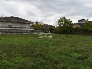 ΑΠΟΨΗ ΟΙΚΟΠΕΔΟΥ