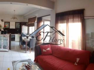 Σαλοκουζίνα