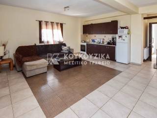 Σαλοκουζίνα