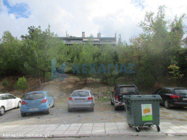 ΕΞΩΤΕΡΙΚΗ ΛΗΨΗ