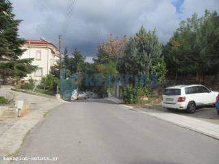 ΕΞΩΤΕΡΙΚΗ ΛΗΨΗ