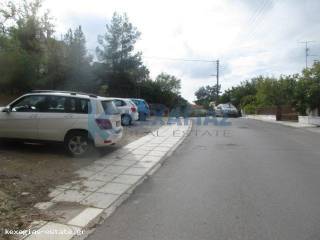 ΕΞΩΤΕΡΙΚΗ ΛΗΨΗ