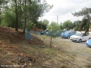 ΕΞΩΤΕΡΙΚΗ ΛΗΨΗ