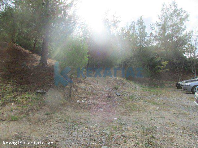 ΕΞΩΤΕΡΙΚΗ ΛΗΨΗ